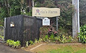 Arias Farm Accomodation Rotorua